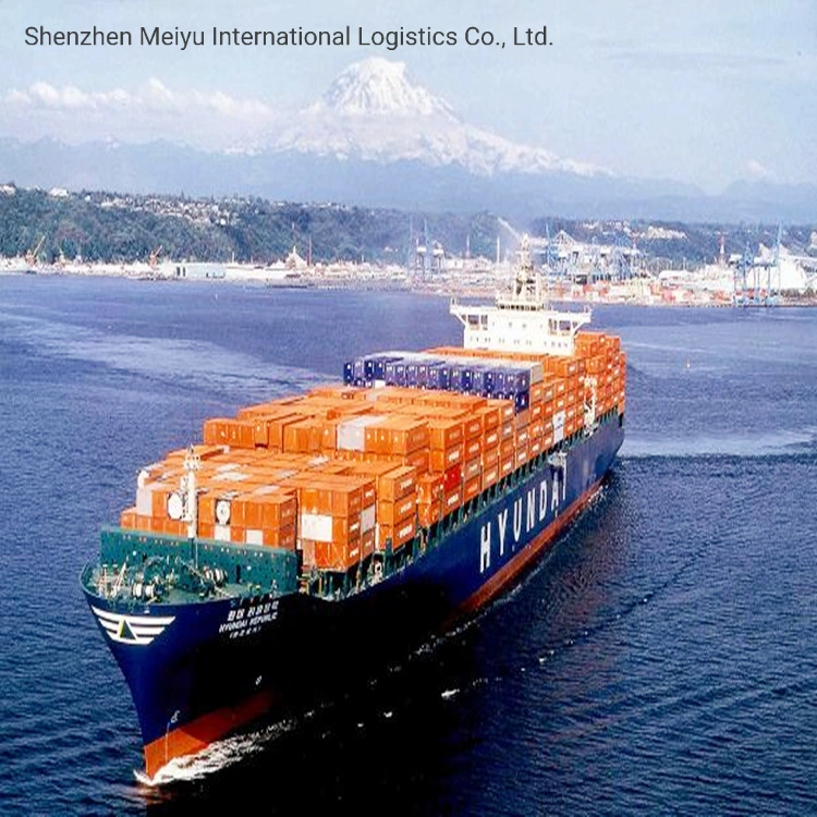 Door to Door Sea Shipping From China to USA Which Includes Customs Clearance and Taxes