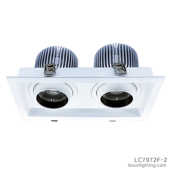 Hot Sales Double Heads 2*12W LED Recessed Downlights Ceiling Lamp LC8601-2