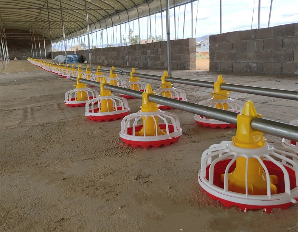 Granja avícola palabra criar pollos broiler criador de aves de corral de Pan para el Control automático de bandeja de sistema de alimentación del sinfín