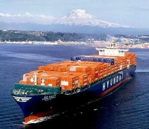 Seefracht FCL + LCL von China nach Vancouver, BC, Kanada