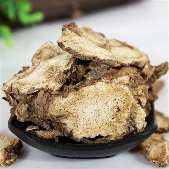 Medicina herbal natural de Dong Quai chinesa Angelica sinensis para beber