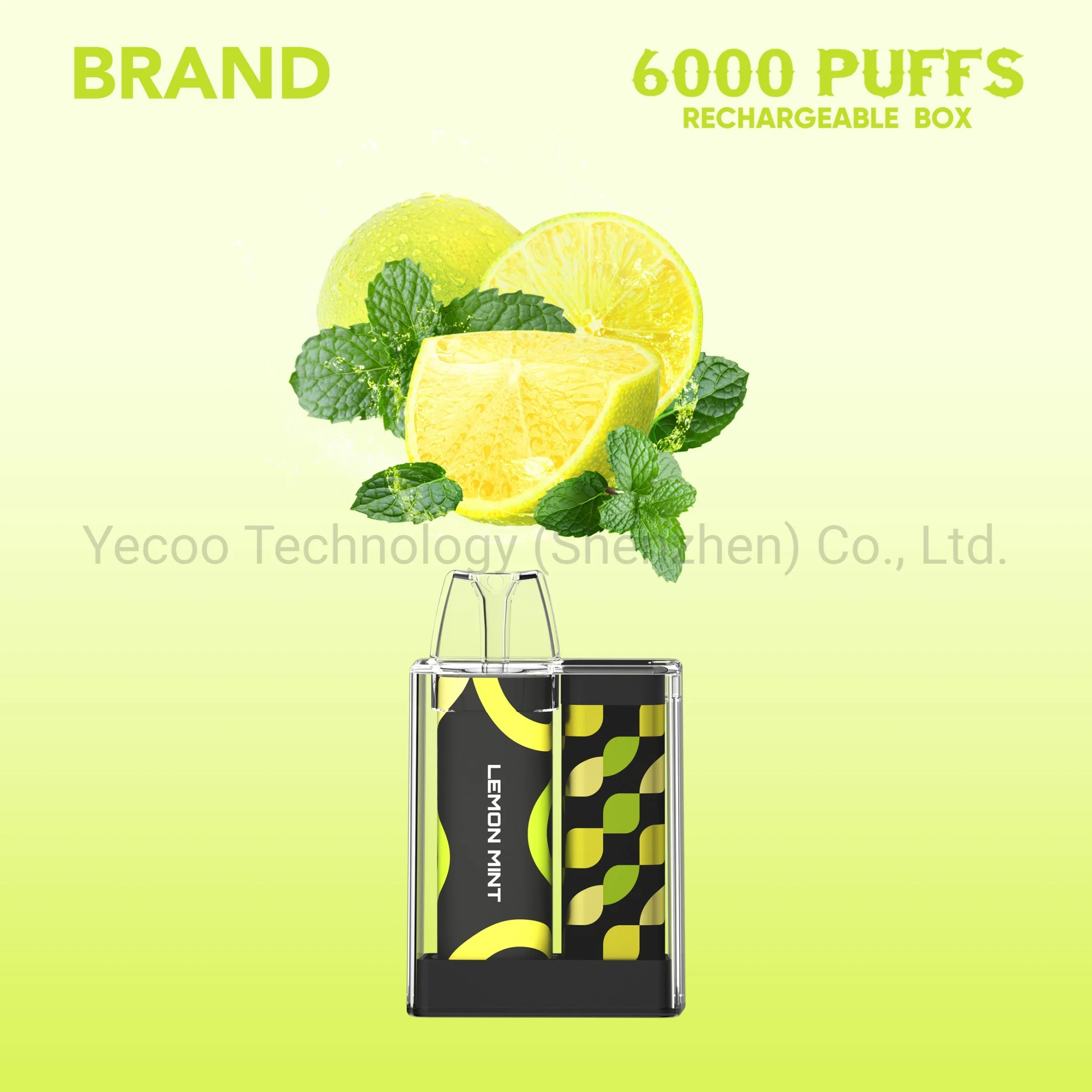 Factory Disposable/Chargeable Electronic Cigarette 6000 Puff Fruit Flavor Mesh Coil Vape Pen