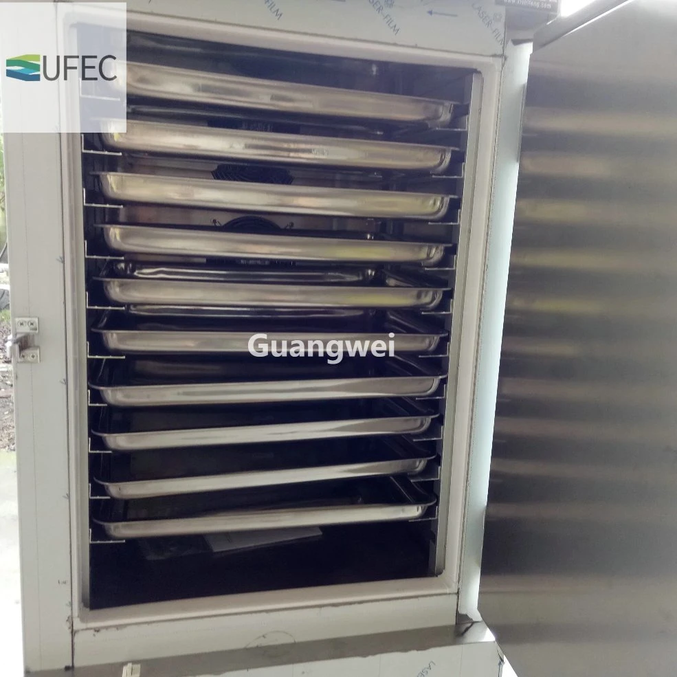 Réfrigérateur à refroidissement rapide commercial, congélateur industriel à soufflage