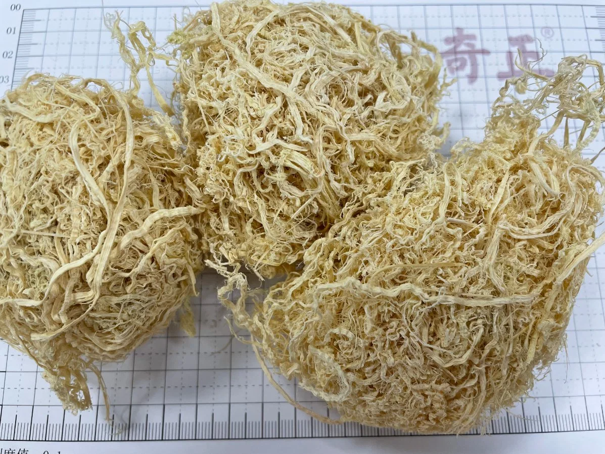 Zhuru Chinese Herbal Medicine Chinese Traditional Natural Dried Herb Bambusae Caulis in Taenias