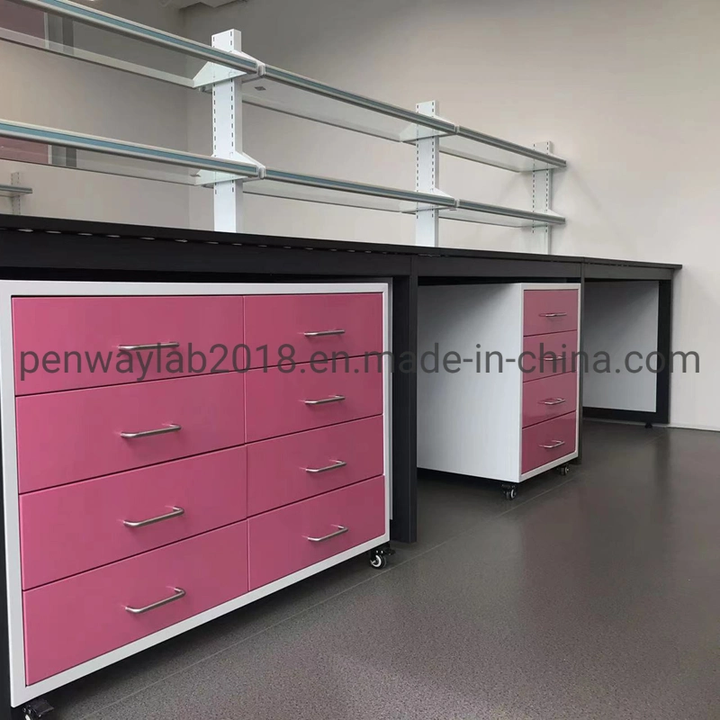 All Steel Painted Chemical Resistant Work Station Cabinets Lab Table