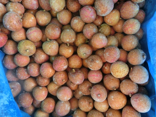 سينوسوار BRC ثمار مجمدة من IQF Lychee مع الجلد