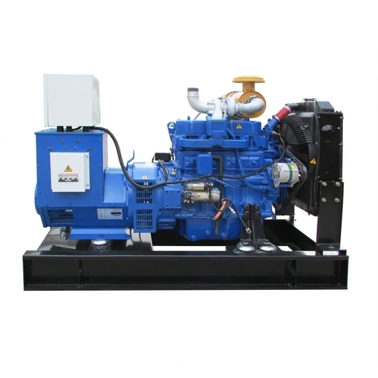 Best Quality 50kw Syngas Generator with Cummins Engine