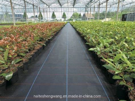 High quality/High cost performance Durable PP Plastic Strong Weed Mat Anti Grass Control Mesh with UV