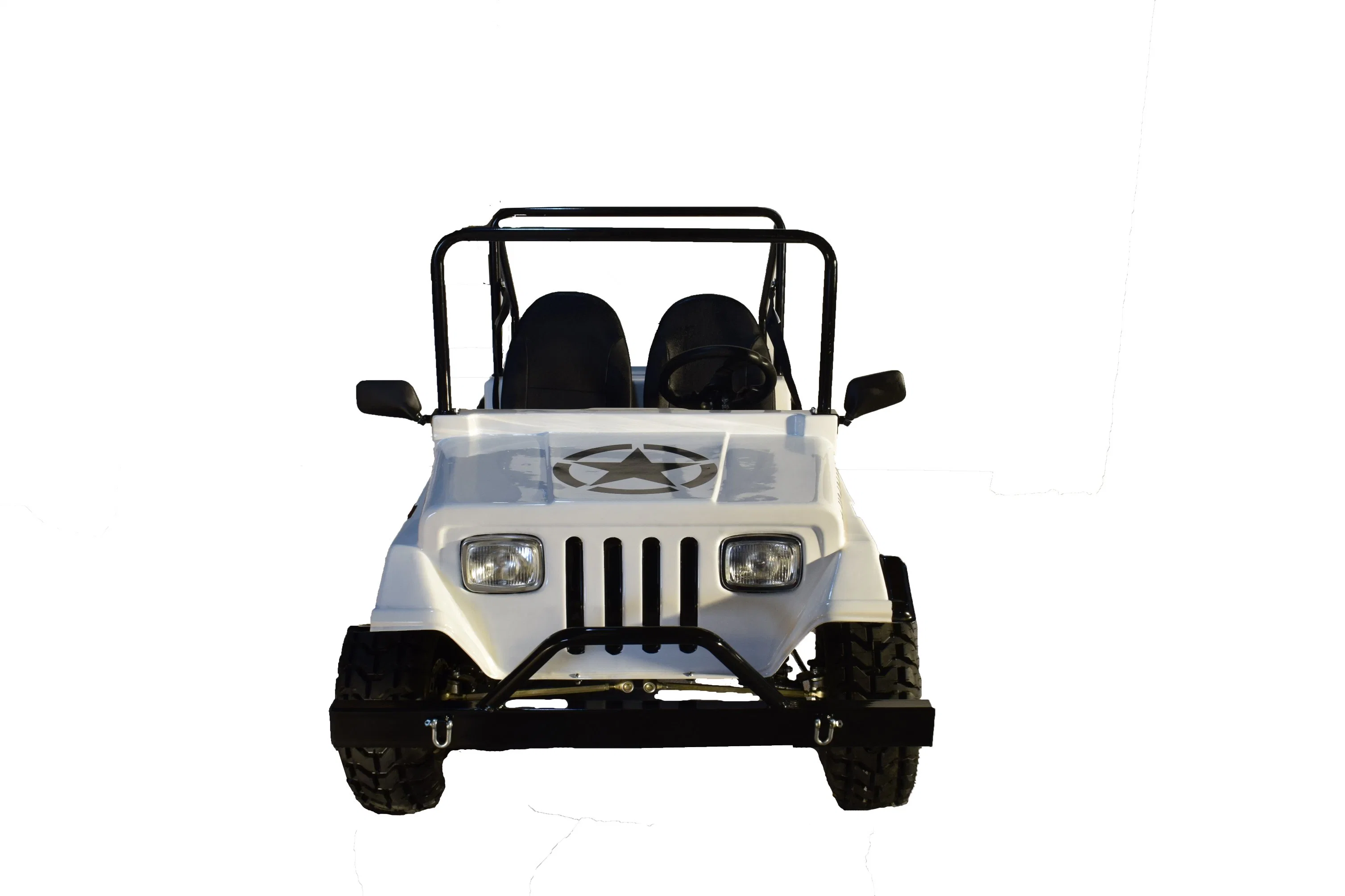 Adult Gasoline Mini Jeep 150cc Wholesale/Supplier off Road Jeep Car for Sale