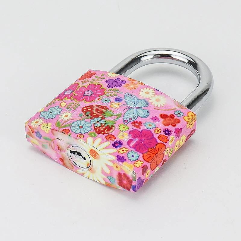 Hardware Tools 20-60mm Safety Protection Solid Keys Color Printing Square Iron Padlock