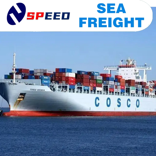 Sea Shipping Freight From Shenzhen Tianjin Shanghai Foshan China to Poland, Hungary, Czech Republic