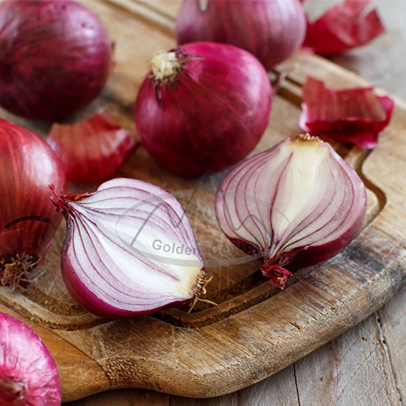 سعر الجملة 100 ٪ الأحمر الطبيعي Onion لسوق فيتنام