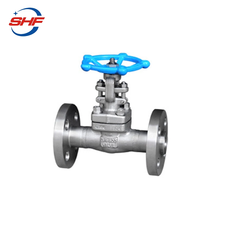 Stainless Steel F316 RF Ends Globe Type Needle Valve