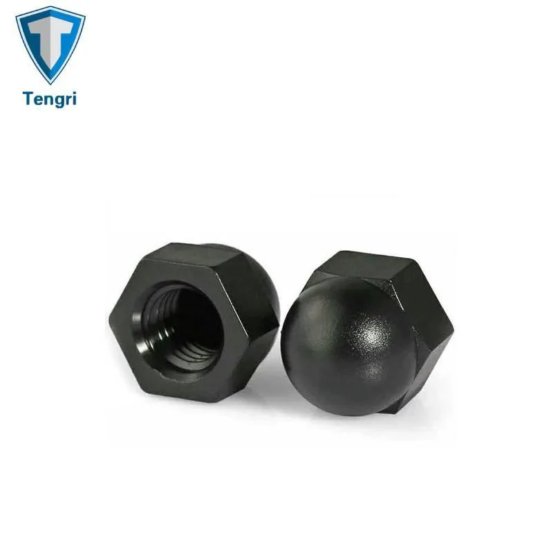 DIN 1587 Plastic Hexagonal Acorn Nut Nylon High Type Hexagon Cap Nuts with Internal Thread