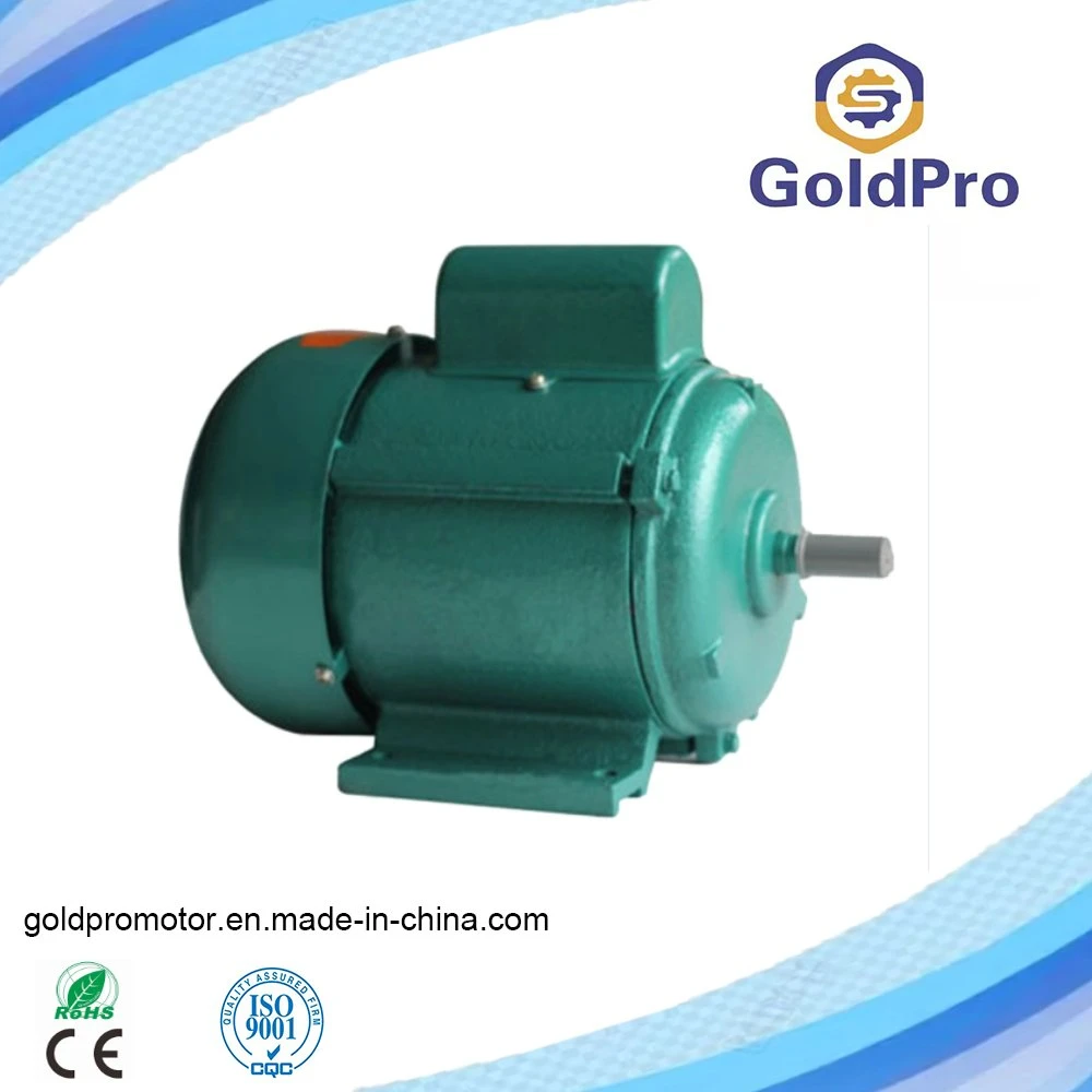 CE Approved Copper Coil Electric AC Single-Phase Capacitor Running Induction Motor