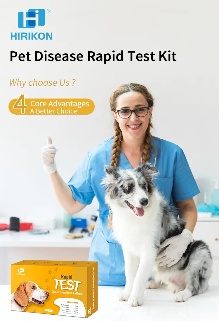 Hirikon zuverlässige und bequeme Hund Brucellose Antigen Rapid Test Kit