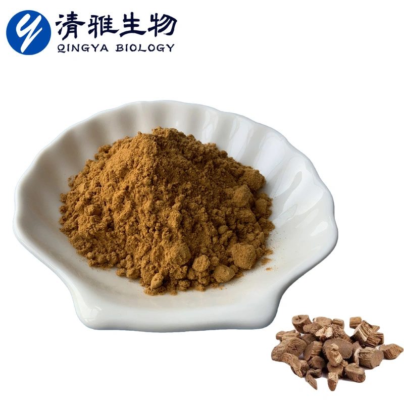 Fabrik Versorgung Sichuan Achyranthes Extract10: 1 Natürliche Kräuterextrakt