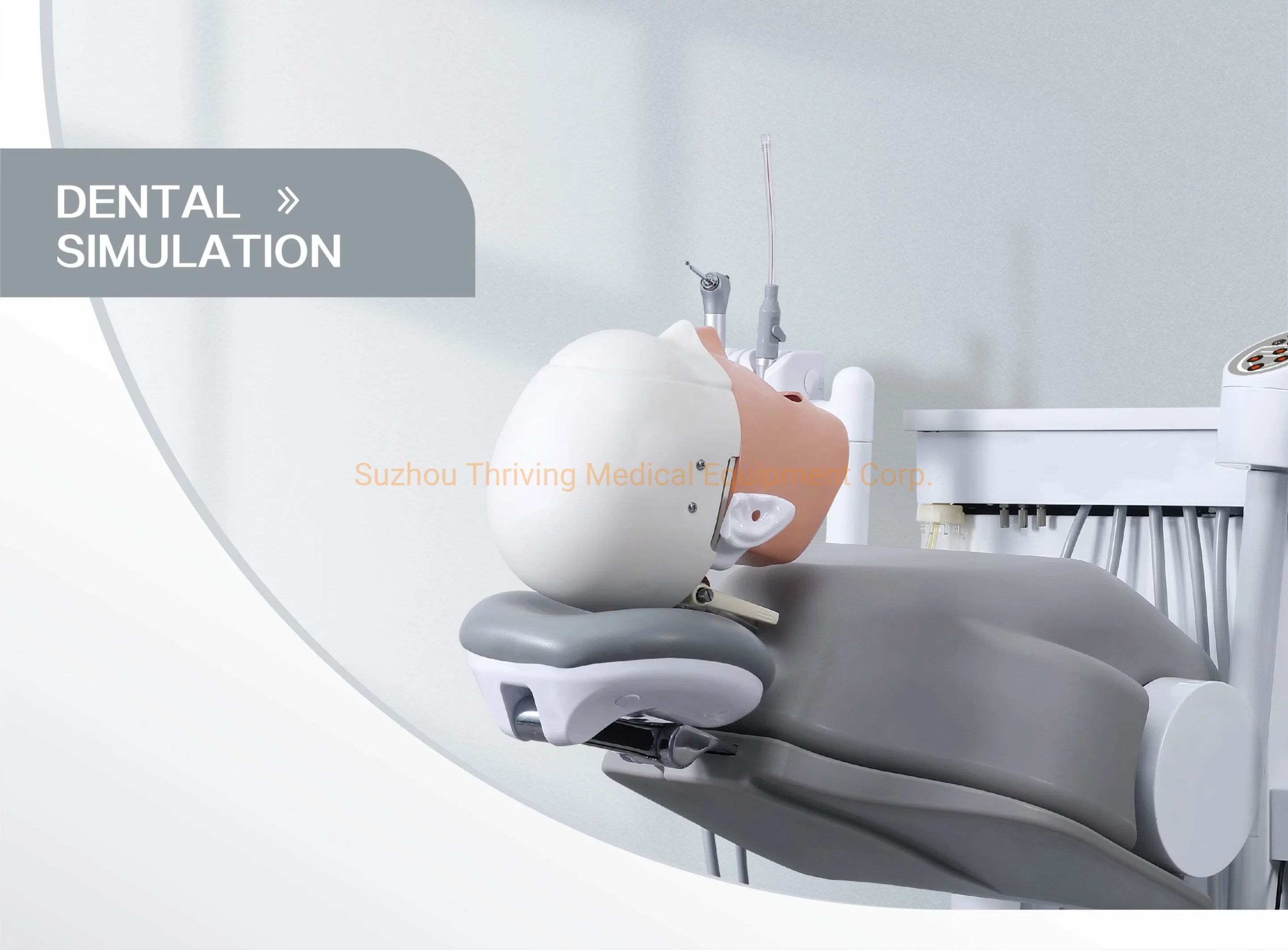 precio de fábrica Unidad de entrenamiento de simulación dental maniquí de maniquíes dentales Cabeza (THR-A2)