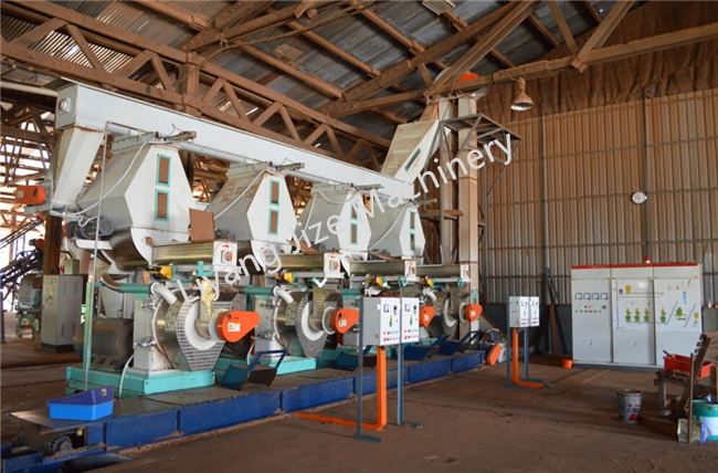 132/160kw 1500-2000kg/H CE Approved Industry Wood Pellet Mill