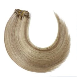 Natural Remy Blonde Brown Human Hair Clip in Hair Extensions