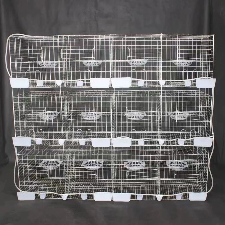 Best Selling Products 2022 Canary Parakeet Pigeon Quail Parrot Bird Cage, Bird Cage Metal, Breeding Cage