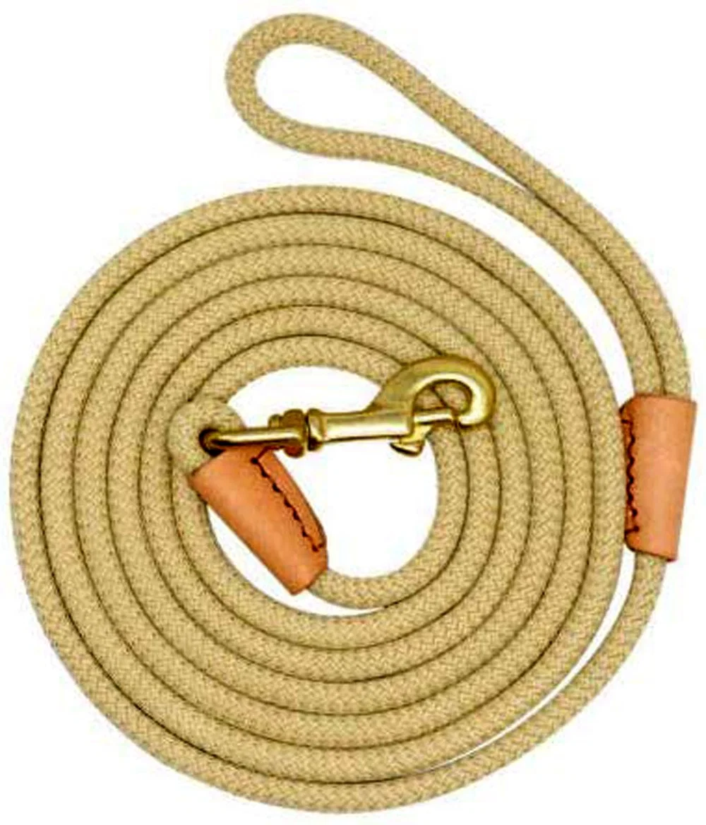 Nylon Dog Leash Training Lead