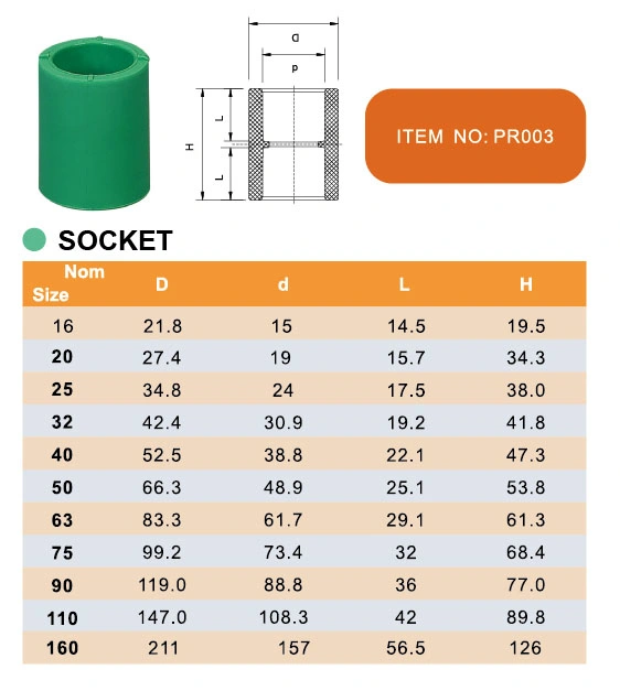 Era Piping Systems (DIN8077/8088) II PPR Pipe Fitting Socket