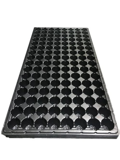 200-Cell Biodegradable Compostable Seedling Tray for Greenhouse