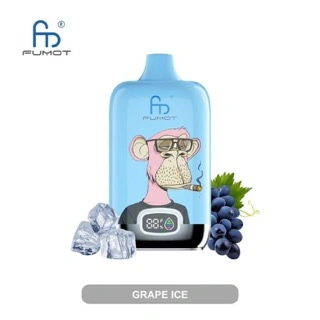Amazing Taste High Quality Mod Pod Randm Digital Box 12000 Puffs Disposable Vape Popular in EU