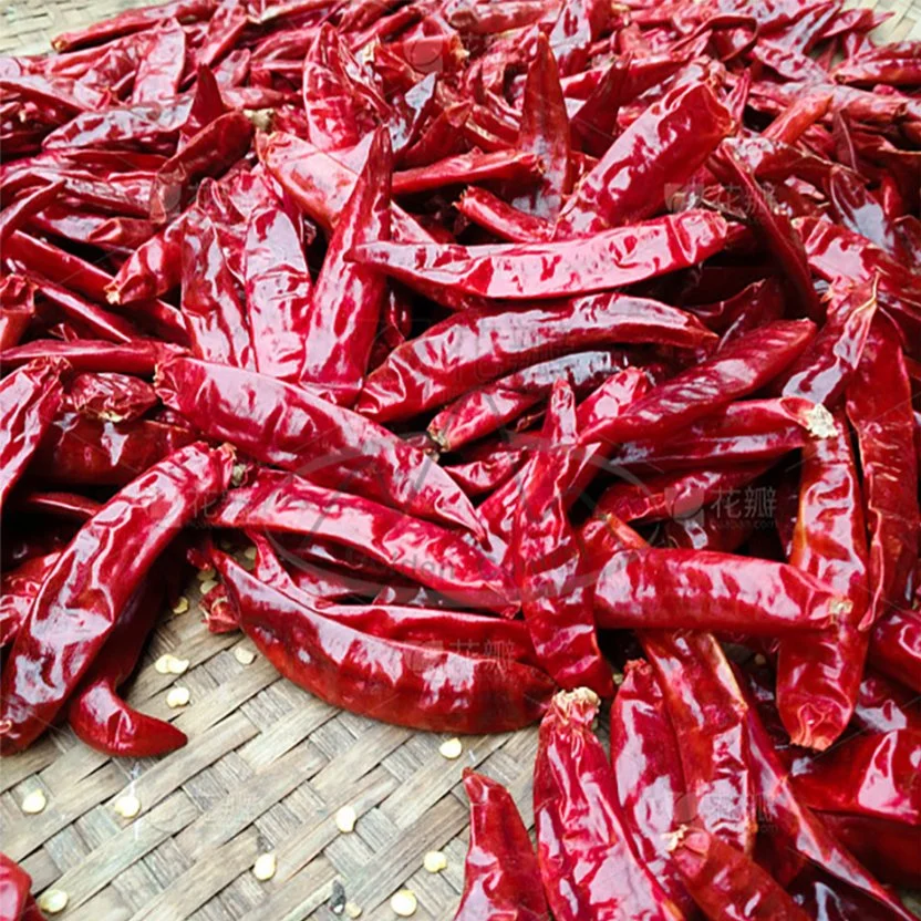 2023 Nueva temporada cosecha de Chile picante rojo seco suministro en El mejor precio