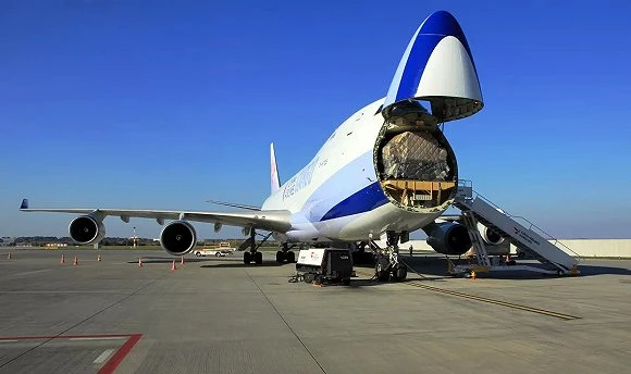 Amazon profesional FBA Air Freight/DHL FedEx UPS TNT/Agente de envíos de China a Alemania