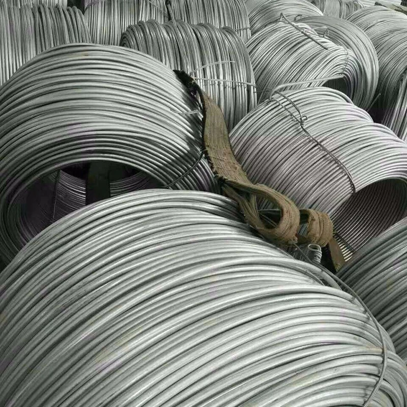 Carbon Hot Rolled Mild Steel Wire Rod in Coils for Nail Making