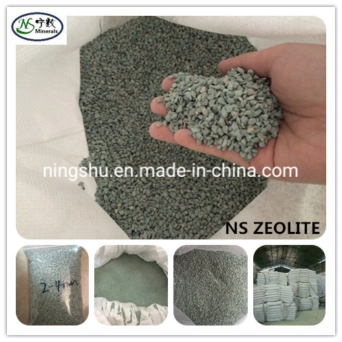 High Porosity and Specific Surface Area Natural Zeolite for Water Treatment