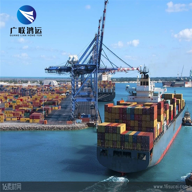 Fast Delivery Ocean Freight Sea Shipping Agent with Competitive Price From Shenzhen Logistics Companies