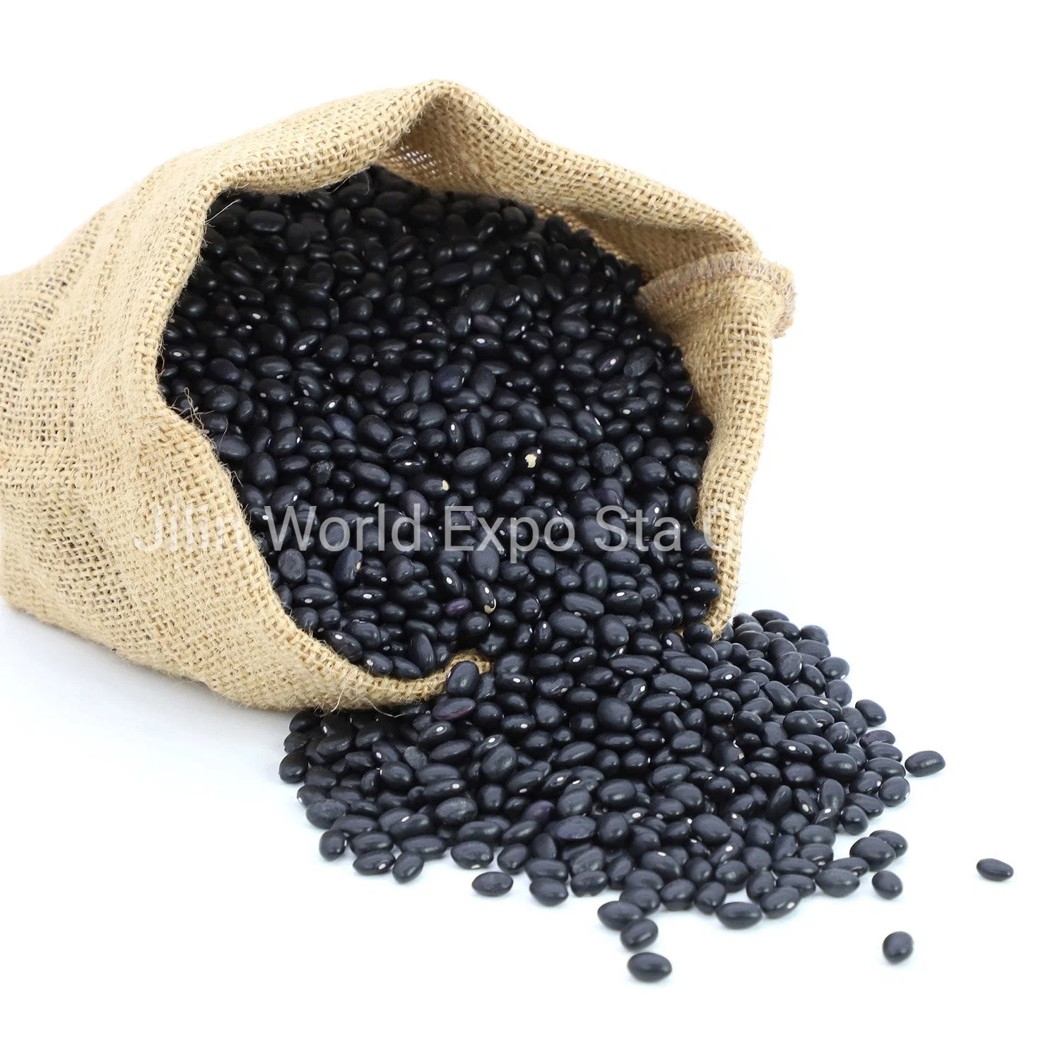 Wholesale/Suppliers Dried Black Kidney Beans 300-330 for Food