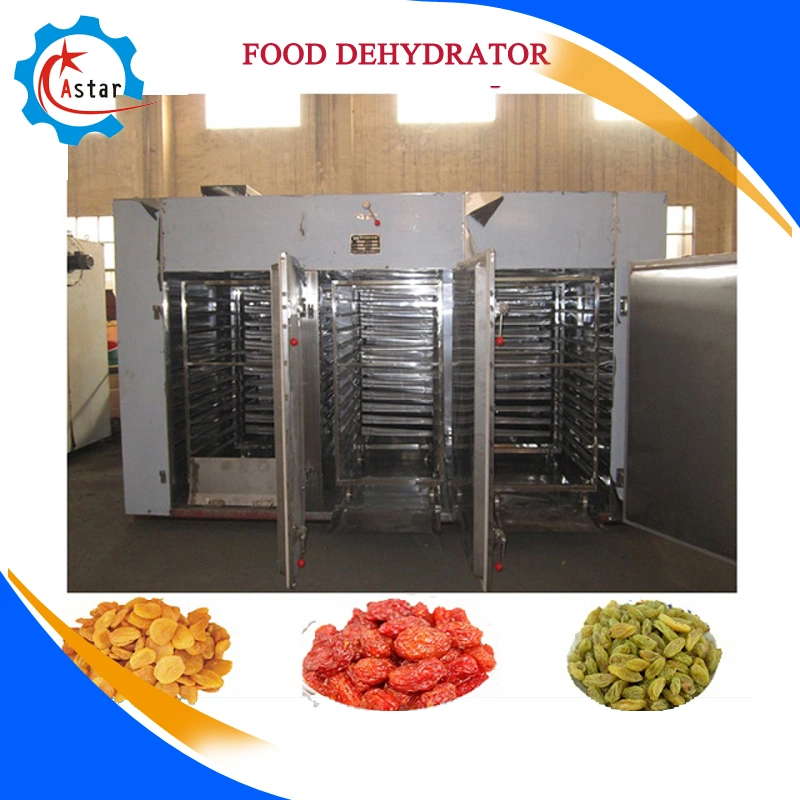 Industrial Fresh Vegetable Fruit Dehydrator