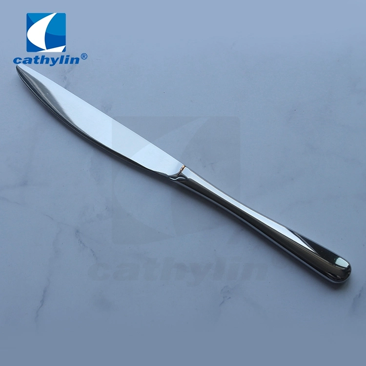 High quality/High cost performance  18/10 Stainless Steel Silver Cutlery