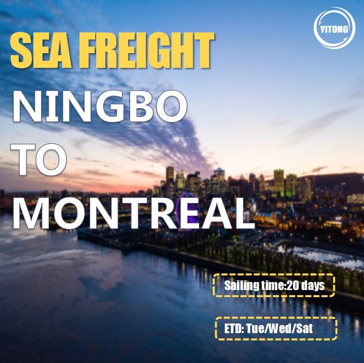 Ocean Freight Shipping From Shanghai to Ottawa Calgary Vancouver