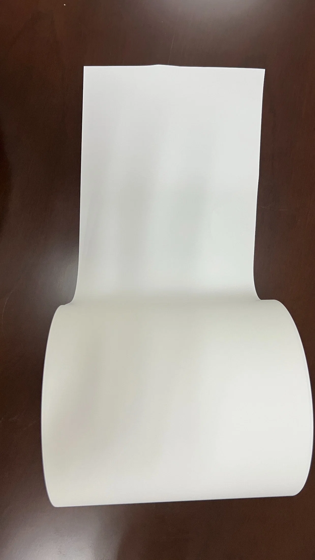 Hot Sale 75mic PP Synthetic Paper Vinyl Film PP Synthetic Paper Roll for Label Printing