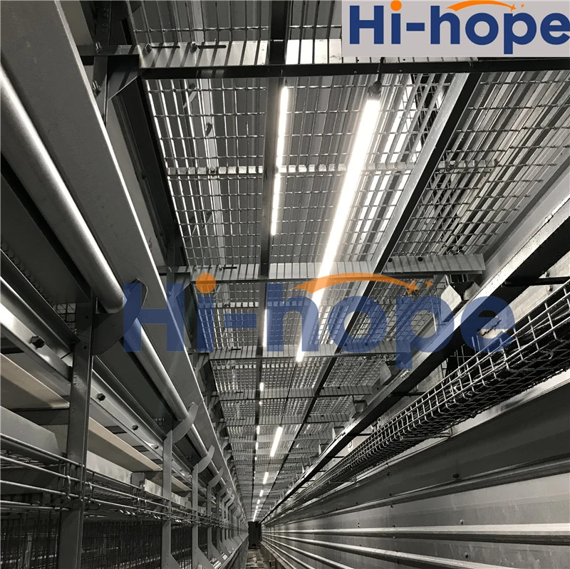 Modern Poultry Farm Automatic Broiler Layer Cage Equipment