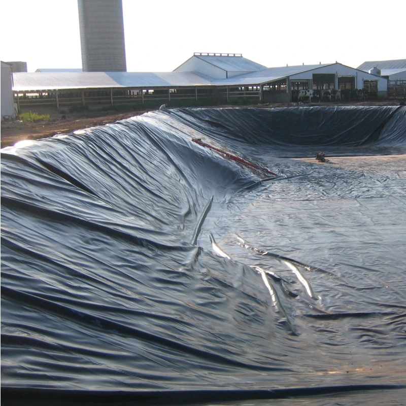 HDPE Geomembrane пруд 160 гильзы, GSM 190, GSM 250, GSM 350 GSM против просачивания брезентом