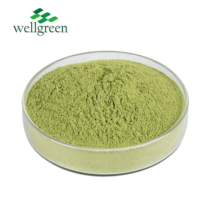 Free Sample Wellgreen Food Grade Herbal Extract 100% Natural Moringa Powder