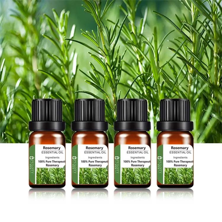 Food Additive and Perfume Rosemary Oil MSDS 100% Pure Natural