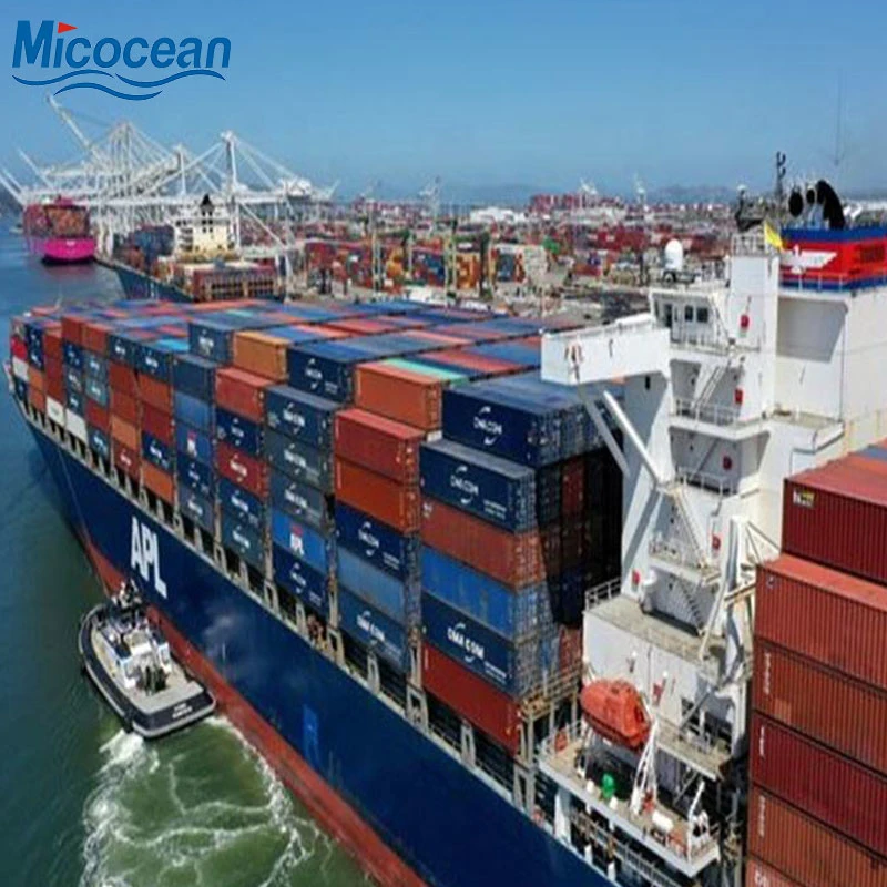 Fast Shipping Logistics Transportation Company Port to Port to San Antonio/Arica/Iquique