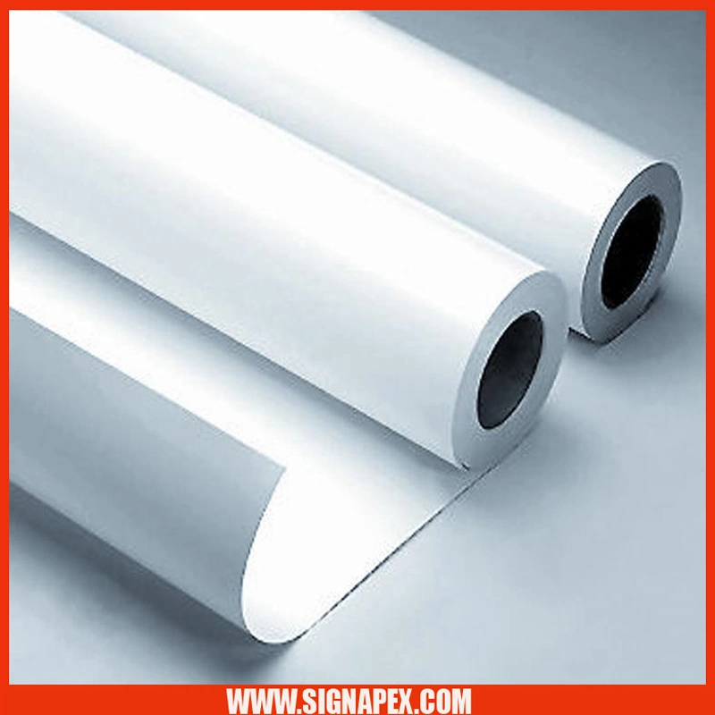 Eco Solvent PP Paper for Display 175mic Matte