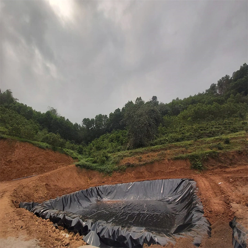 UV Resistance Composite Geomembrane Liner for River Bank/Sea Construction