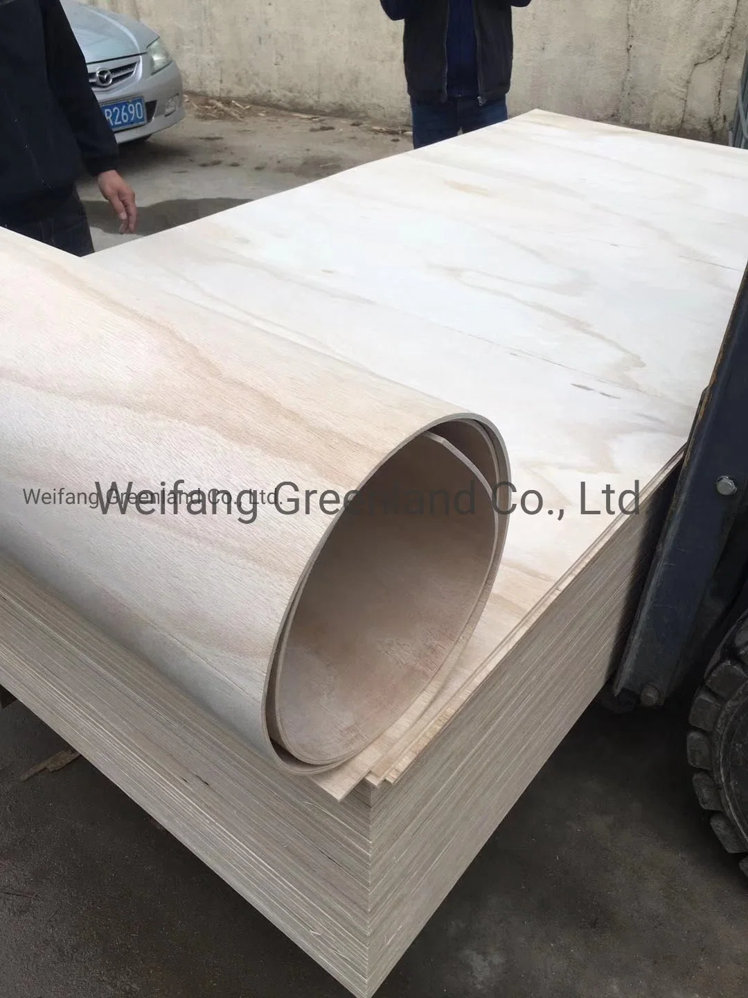 5mm Paulownia Wood Soft Plywood/Flexible Plywood