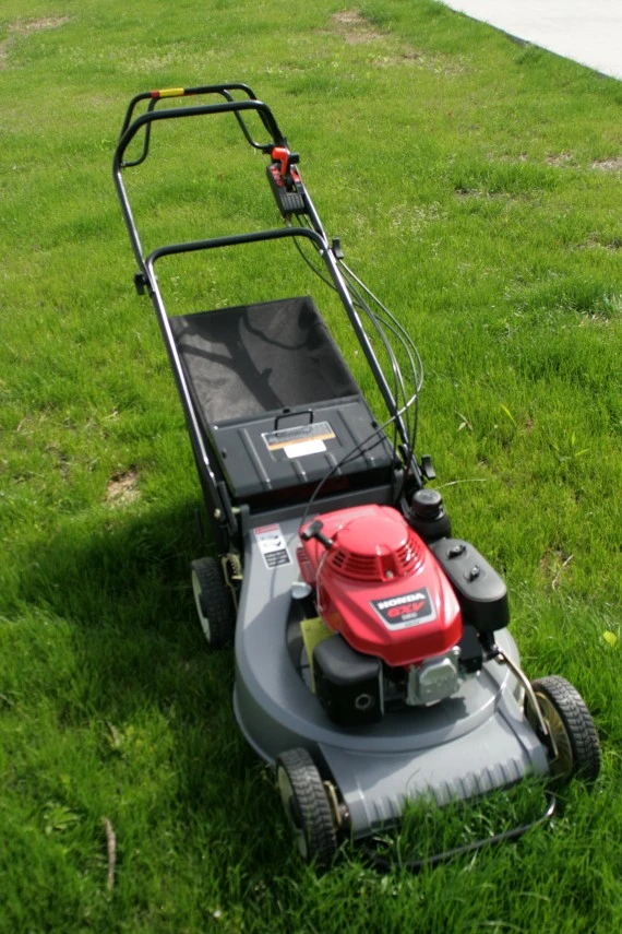 Lawn Mower Machinery 5.5HP