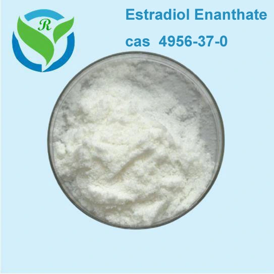 Reddit High Recommend Shop Buy Estradiol Enanthate Powder Estradiol Enanthate 4956-37-0 with Worldwide Shipping