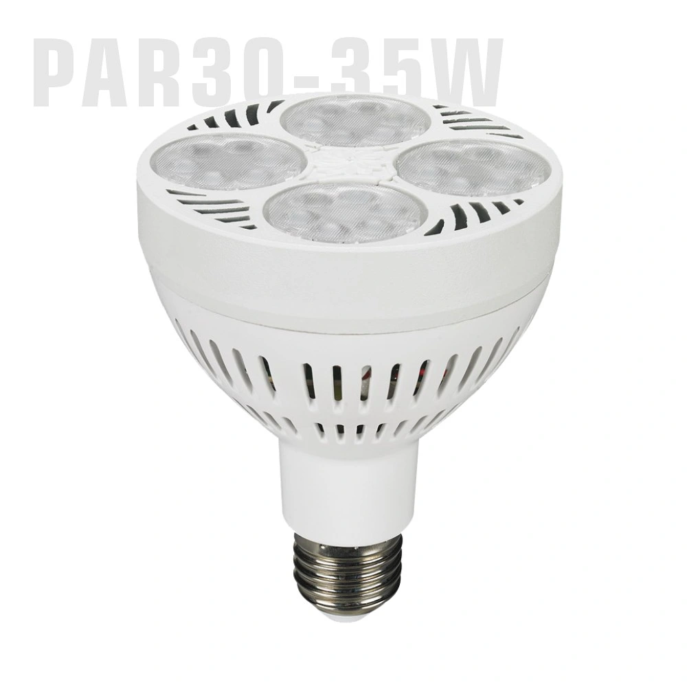 35W PAR30 110V E26 E27 4000K 6000K 10000K 12000K ETL RoHS PAR30 LED Light PAR30 Jewelry Light PAR30 PAR 30 LED Bulb with Fan